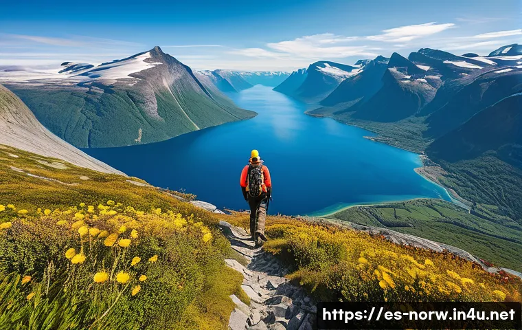 노르웨이에서 가장 높은 산 - A breathtaking panoramic view from the summit of Norway&rsquo;s highest mountain, showcasing vast fjords, ...